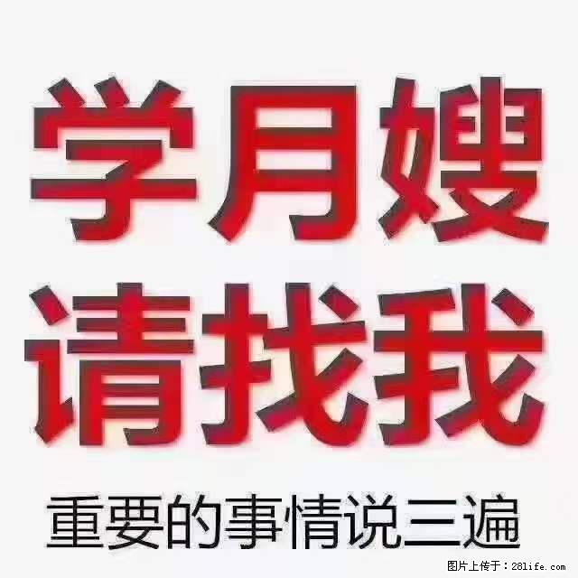 为什么要学习月嫂,育婴师? - 新手上路 - 长葛生活社区 - 长葛28生活网 changge.28life.com