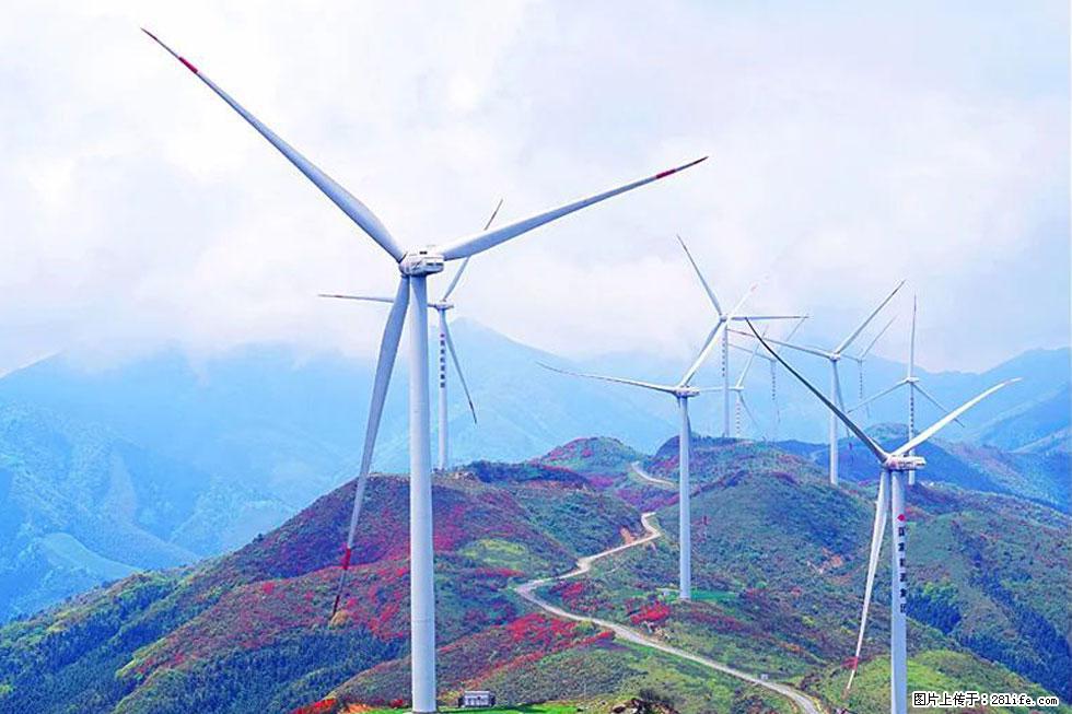 【春天,广西桂林灌阳县向您发出邀请!】春木界上映山红 - 游山玩水 - 长葛生活社区 - 长葛28生活网 changge.28life.com