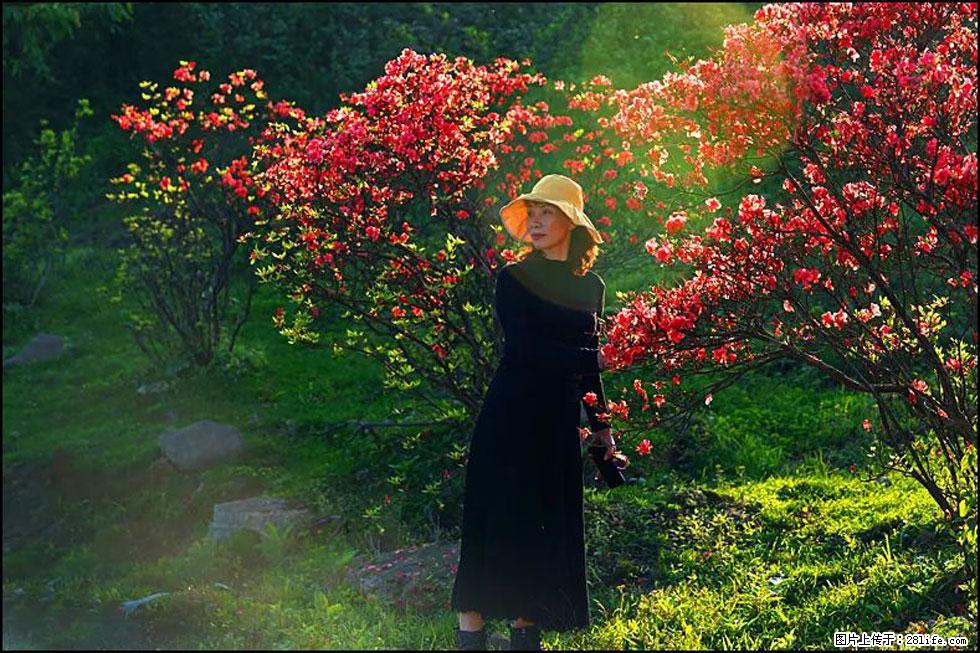 【春天,广西桂林灌阳县向您发出邀请!】春木界上映山红 - 游山玩水 - 长葛生活社区 - 长葛28生活网 changge.28life.com