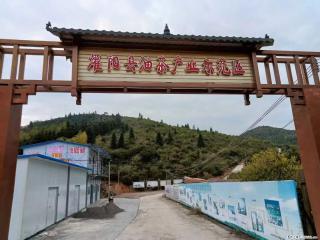 【灌阳县油茶产业示范区】一个有着充实的精神生活的人，对待身外之物自会有一种淡泊的态度 - 长葛28生活网 changge.28life.com