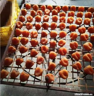 广西桂林平乐桥亭【柿饼之乡】2025年纯手工制作、无任何添加剂的第一批柿饼准备上市了，欢迎联系订购！ - 长葛28生活网 changge.28life.com