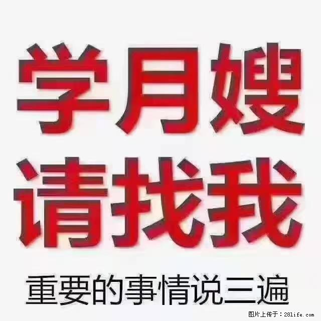 【招聘】月嫂，上海徐汇区 - 职场交流 - 长葛生活社区 - 长葛28生活网 changge.28life.com