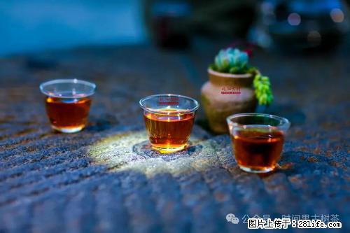 时间果百年古树2025年春红茶 - 购物交流 - 长葛生活社区 - 长葛28生活网 changge.28life.com