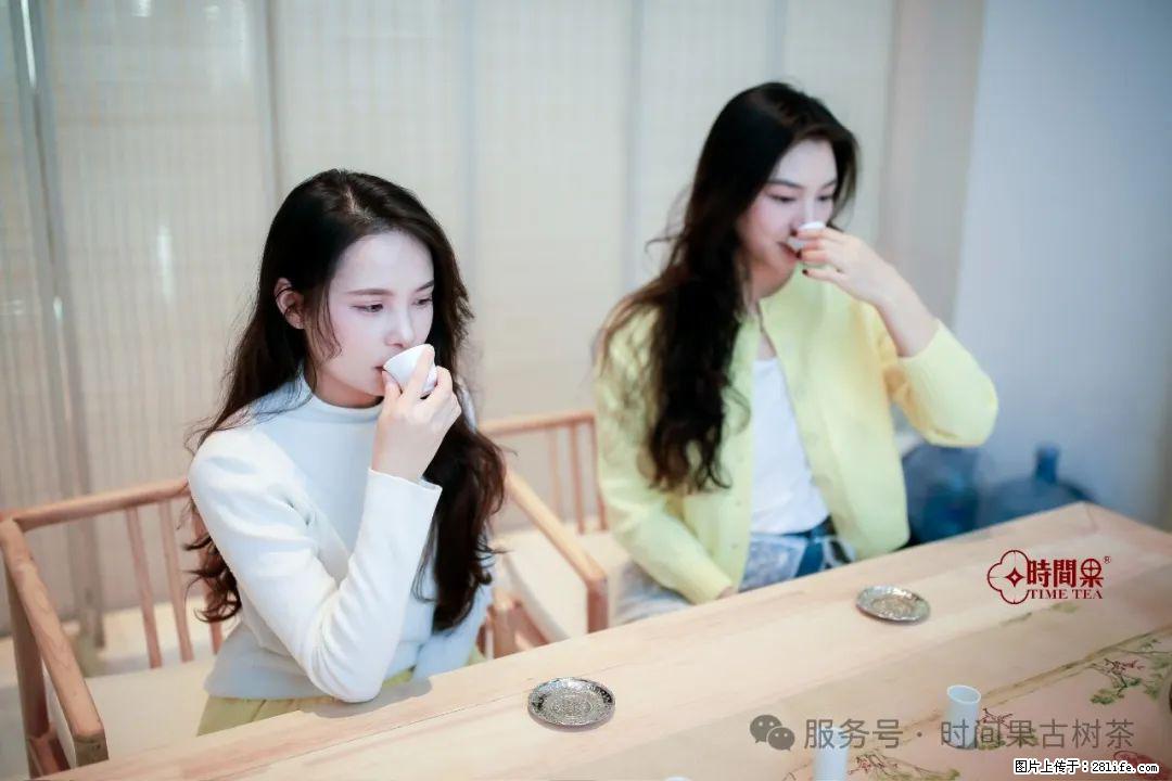 时间果百年古树龙珠普洱生茶 - 购物交流 - 长葛生活社区 - 长葛28生活网 changge.28life.com