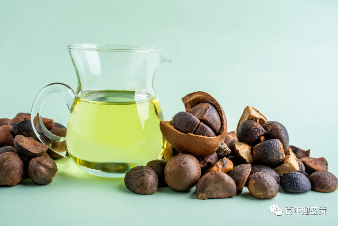 世界没有真相，只有认知，最好的食用油是中国的山茶油！ - 长葛生活资讯 - 长葛28生活网 changge.28life.com