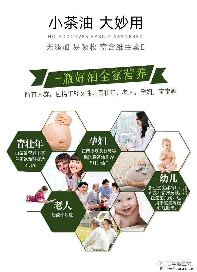 世界没有真相，只有认知，最好的食用油是中国的山茶油！ - 长葛生活资讯 - 长葛28生活网 changge.28life.com