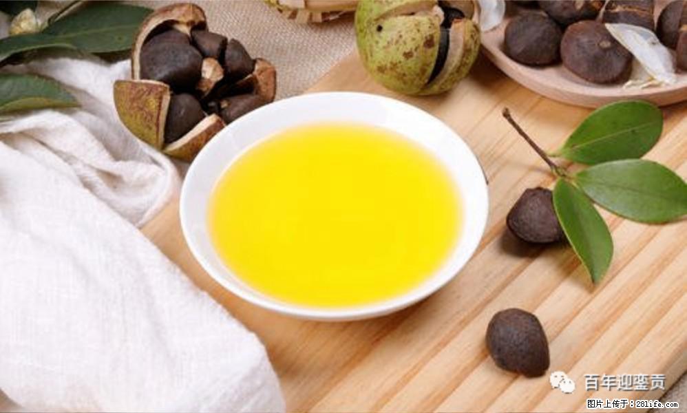 世界没有真相，只有认知，最好的食用油是中国的山茶油！ - 长葛生活资讯 - 长葛28生活网 changge.28life.com