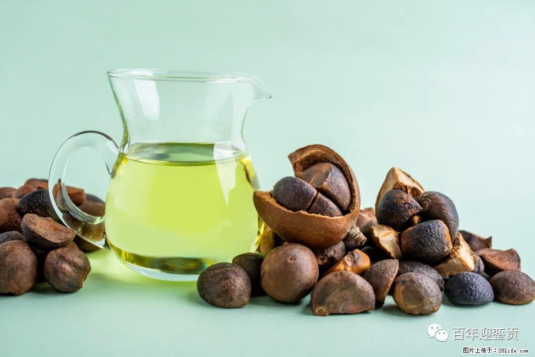 世界没有真相，只有认知，最好的食用油是中国的山茶油！ - 长葛生活资讯 - 长葛28生活网 changge.28life.com