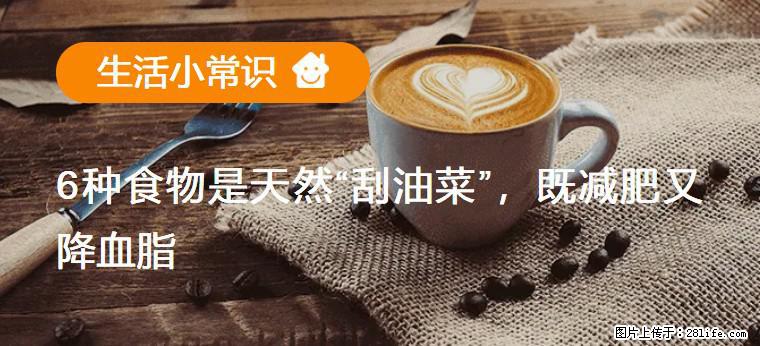【生活小常识】6种食物是天然“刮油菜”,既减肥又降血脂 - 长葛生活资讯 - 长葛28生活网 changge.28life.com