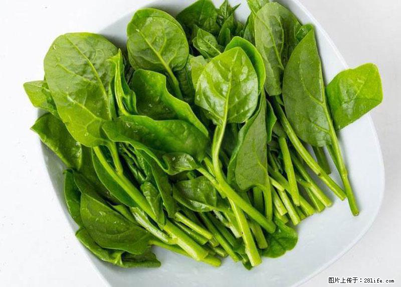 这些蔬菜是“天然钙片”，这6种被医生重点推荐 - 长葛生活资讯 - 长葛28生活网 changge.28life.com