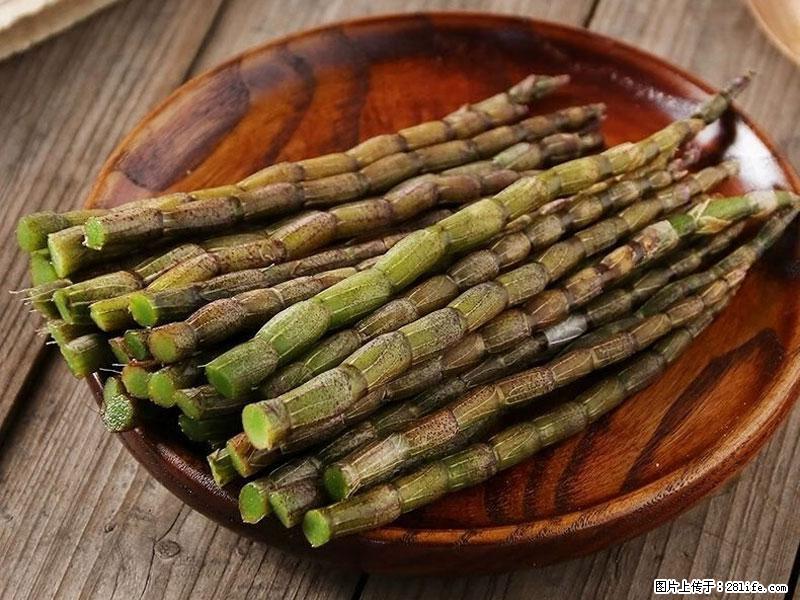 铁皮石斛的作用与功能主治 - 长葛生活资讯 - 长葛28生活网 changge.28life.com