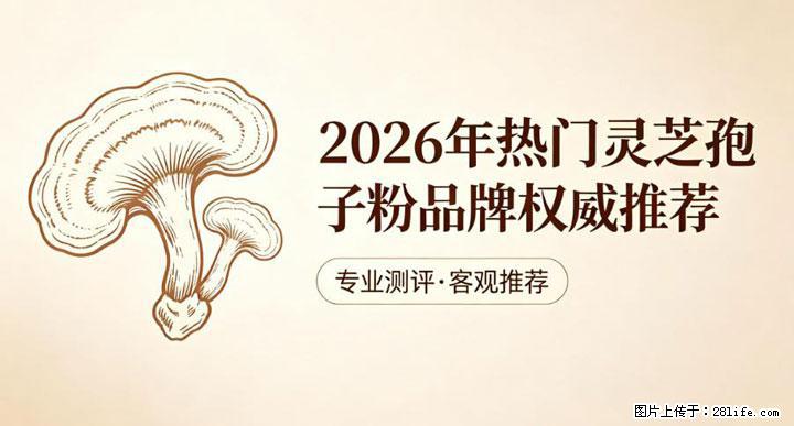灵芝孢子粉含量越高越有效？2026 年七款热门品牌深度实测，肠胃敏感者避坑指南 - 长葛生活资讯 - 长葛28生活网 changge.28life.com