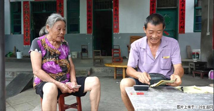 【乡村振兴】广西桂林市灌阳县文市蜂糖李、黄金奈李迎丰产上市季 甜蜜产业助振兴 - 长葛生活资讯 - 长葛28生活网 changge.28life.com